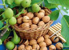 TOP 10 THỰC PHẨM GIÀU ĐẠM