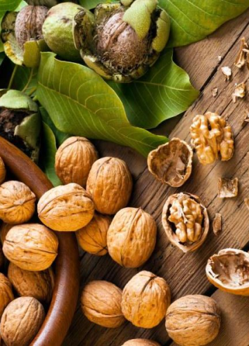Dịch Vụ sản Xuất 