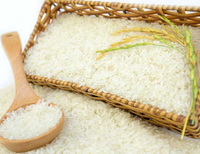Gạo Việt: Nâng chất lượng, đa dạng hóa thị trường mục tiêu cán mốc 7,73 triệu tấn