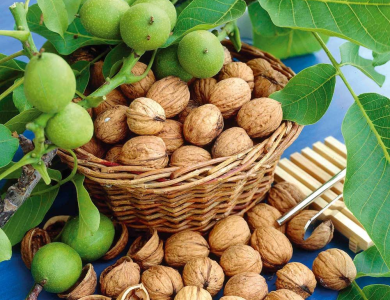 TOP 10 THỰC PHẨM GIÀU ĐẠM