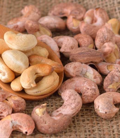 Điều Vị Nguyên Bản 