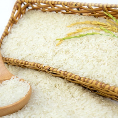 Gạo Việt: Nâng chất lượng, đa dạng hóa thị trường mục tiêu cán mốc 7,73 triệu tấn