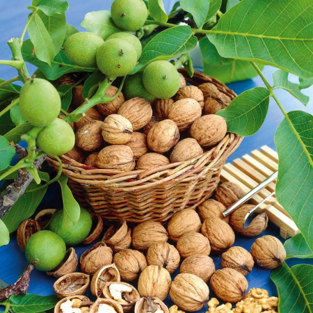 Dịch Vụ Sản Xuất Nông Sản 